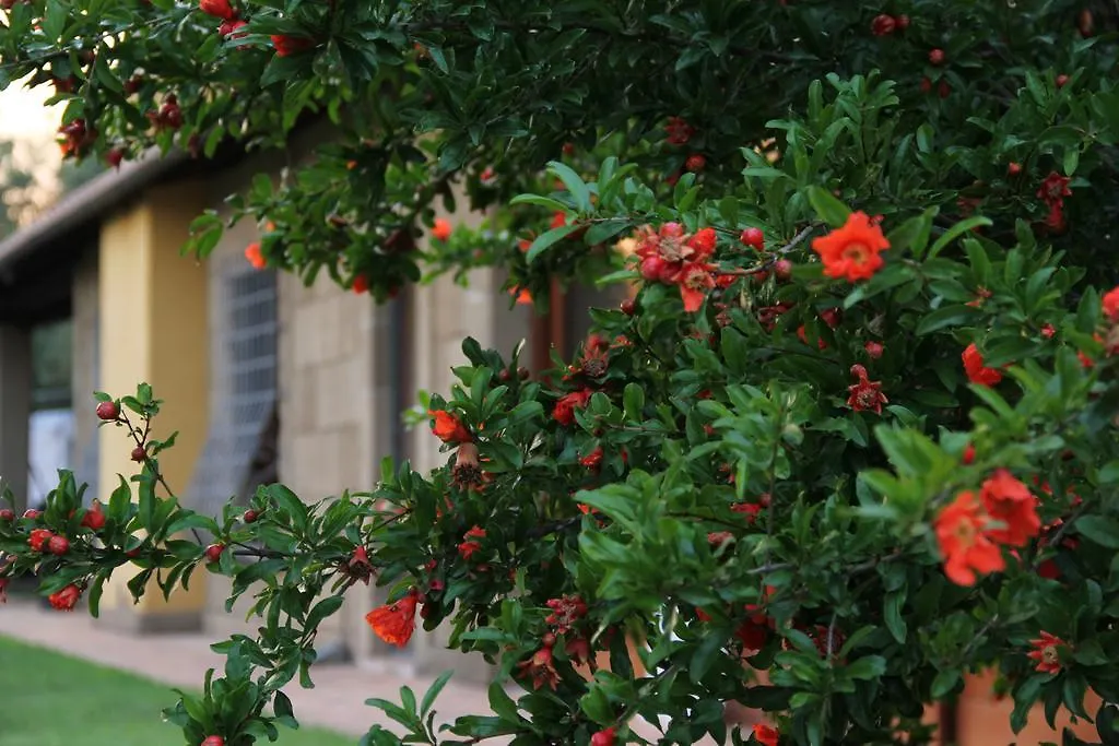 Al Vecchio Fontanile B&B-1